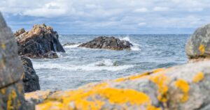 Pensjonat nad morzem z wyżywieniem. Kulinarna strona wakacji